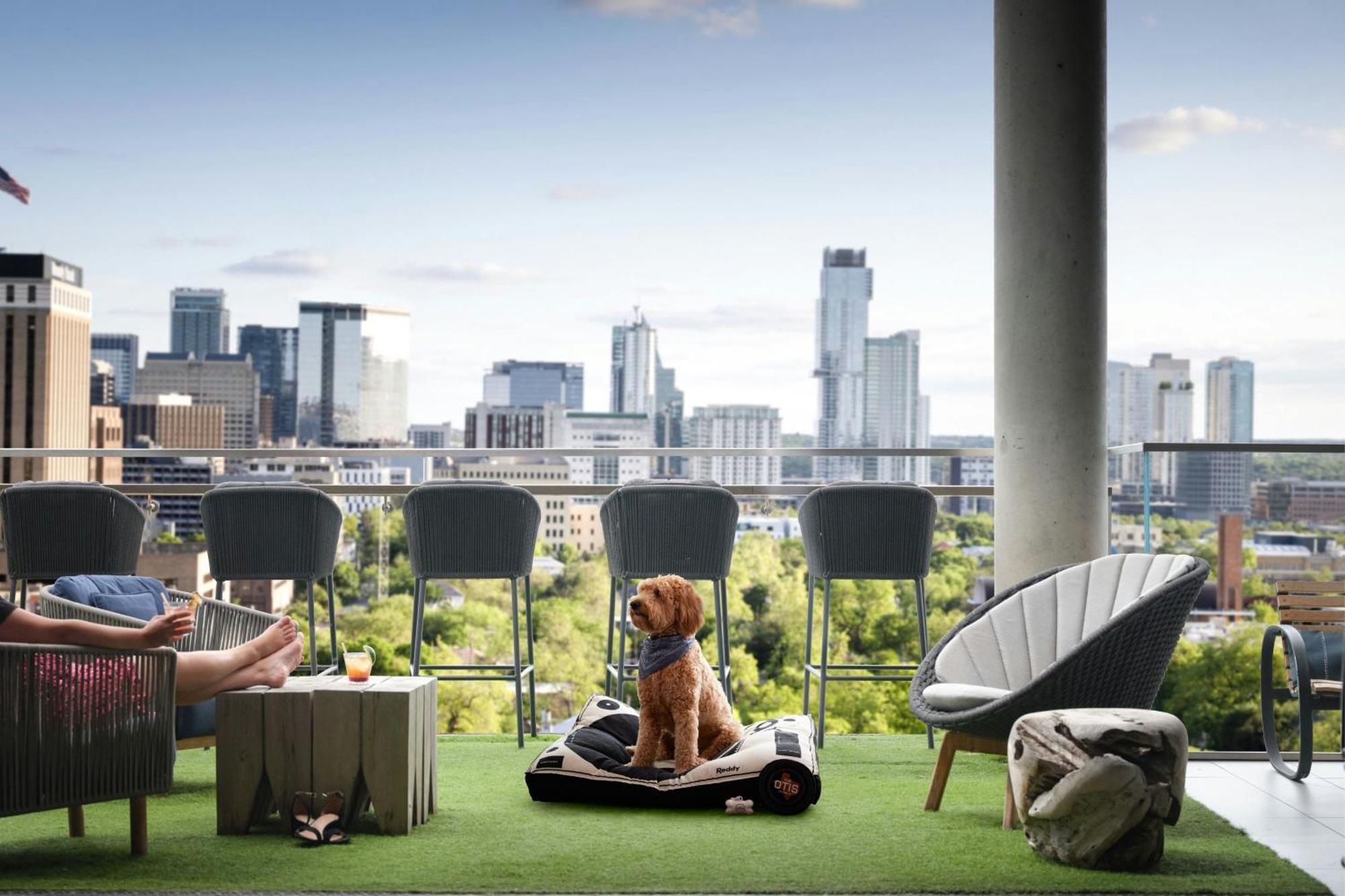 The Otis Hotel Austin, Autograph Collection Esterno foto